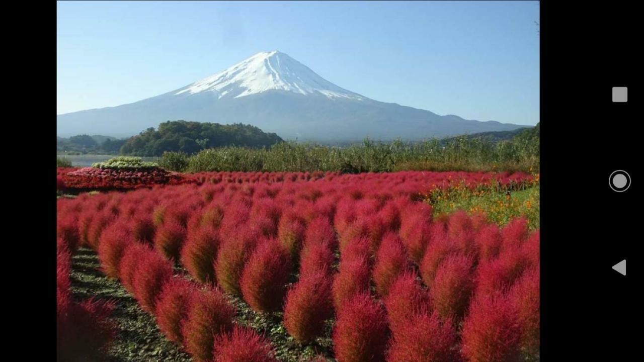 Kakureyado Fujikawaguchiko Bed and Breakfast Exteriör bild